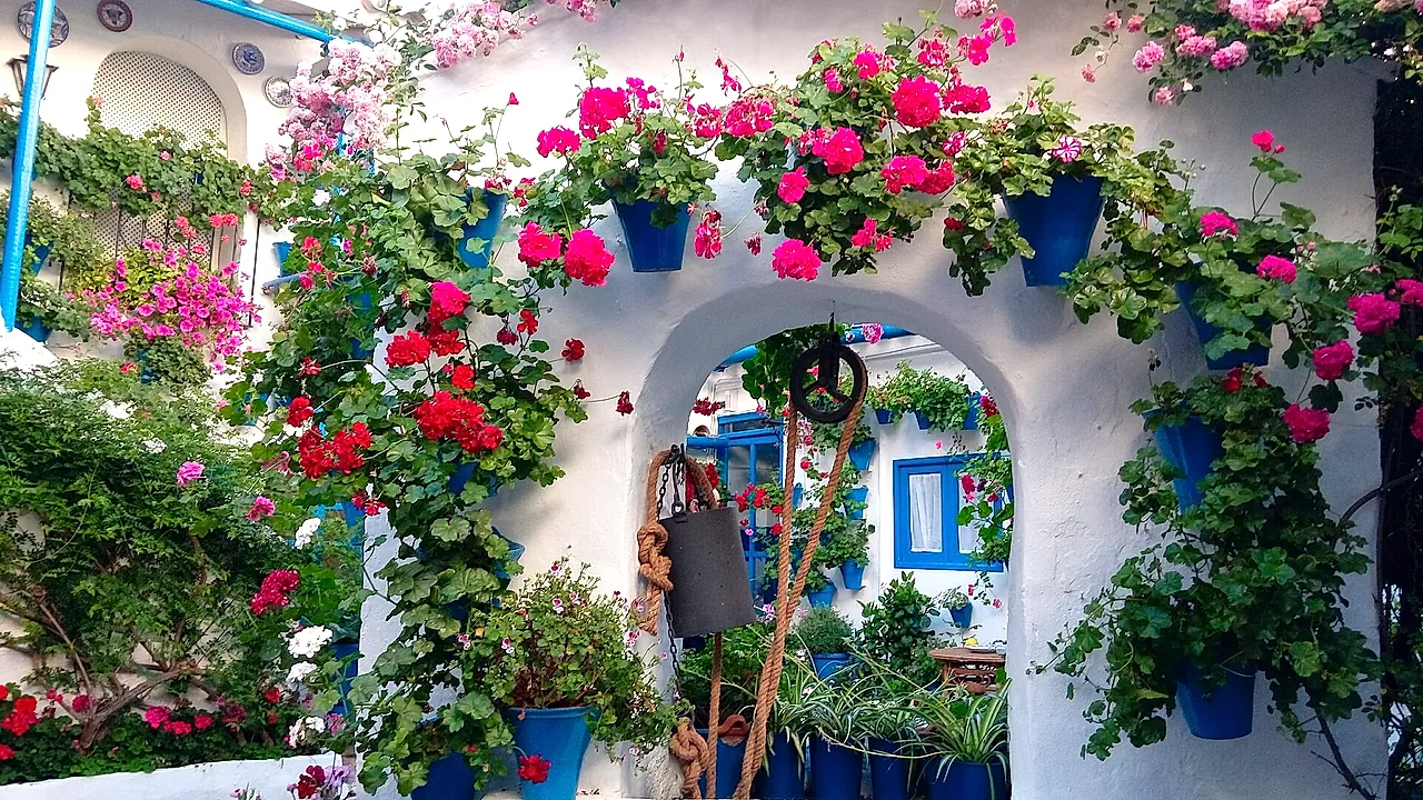 Un patio bianco di Cordova con un arco e pareti coperte di fiori rossi, rosa e viola in vasi blu